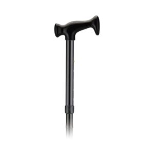 Folding Cane
