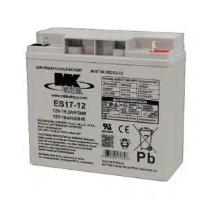 ES17-12 Scooter Battery