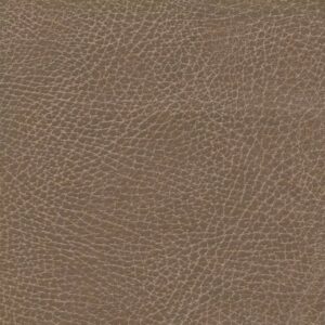 Golden Cloud - Med/Large, Saddle - Goodyear Location